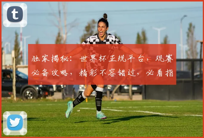 独家揭秘：世界杯正规平台，观赛必备攻略，精彩不容错过，必看指南